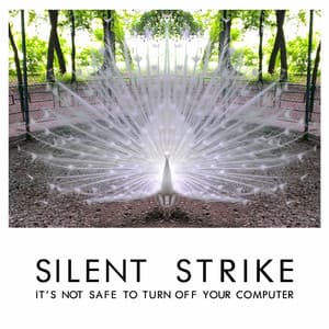 It's Not Safe to Turn off Your Computer - Silent Strike