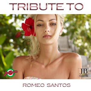 29 Best Hits: Tribute to Romeo Santos - Bachateros Dominicanos
