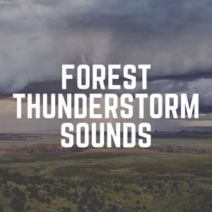 Forest Thunderstorm Sounds - Thunder Storms & Rain Sounds