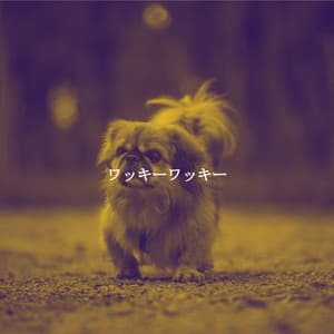 ワッキーワッキー - No Words Jazz