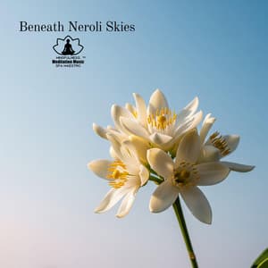 Beneath Neroli Skies - Mindfulness Meditation Music Spa Maestro