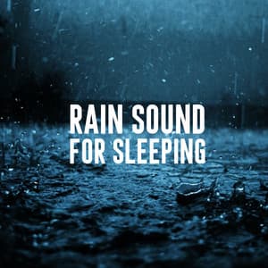 Rain Sound for Sleeping - Rain Sounds Lab