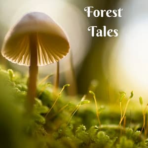 Forest Tales - Serenity of Sound