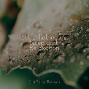 50 Lullabies for Sleep and Relaxation - Yoga Namaste