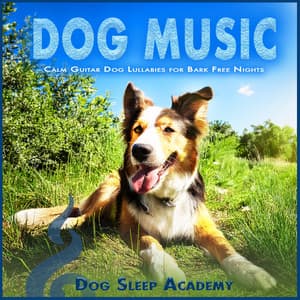 Dog Music: Calm Guitar Dog Lullabies for Bark Free Nights - Dog Sleep Academy