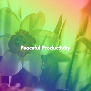 Peaceful Productivity - Acoustic Coffee Shop Music