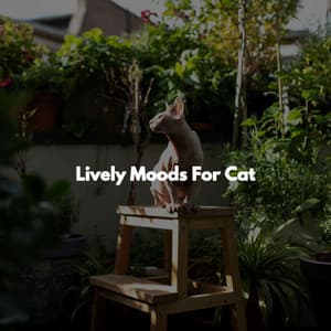 Lively Moods For Cat - Background Relaxing Jazz
