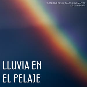 Lluvia En El Pelaje: Sonidos Binaurales Calmantes Para Perros - Reiki para animales