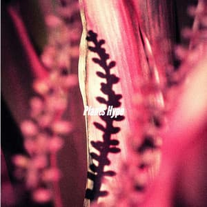 Plants Hype - Ruhige Musik