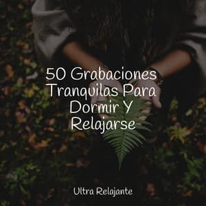 50 Grabaciones Tranquilas Para Dormir Y Relajarse - Musica Para Relajarse