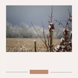 Exciting Background for Refreshing Spring - Easy Morning Music