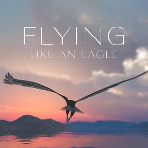 Flying Like An Eagle - Elevation Of The Spirit