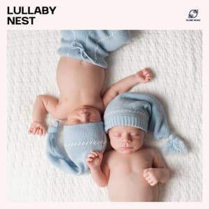 Lullaby Nest - Sleep Lullabies for Newborn