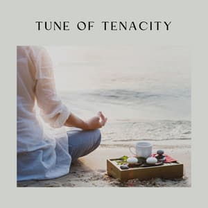Tune of Tenacity - Background Sound Effects Meditation Spa