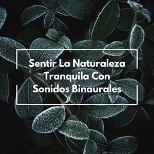 Sentir La Naturaleza Tranquila Con Sonidos Binaurales - Bob binaural