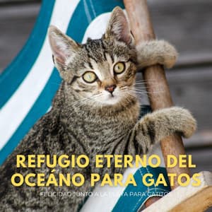 Refugio Eterno Del Oceáno Para Gatos: Felicidad Junto A La Playa Para Gatitos - Sonidos naturales del bosque