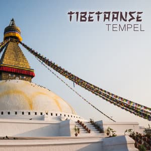 Tibetaanse Tempel: Boeddhistische Muziek voor Meditatie, Mantra's, Yoga en Genezing - Genezende Collectie
