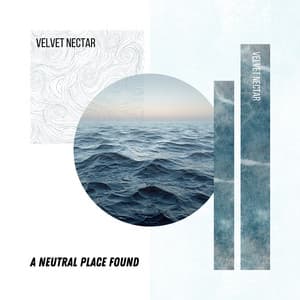 A Neutral Place Found - Velvet Nectar