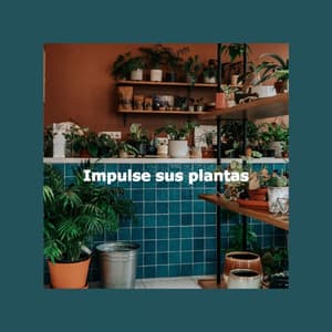 Impulse sus plantas - New York Jazz Bar