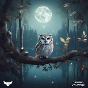 Nocturnal Serenity - Ambient Owl Music