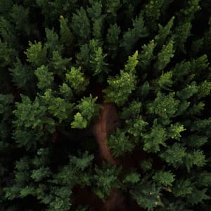 Dulces sueños ruido rosa - Ruido Blanco para Leer