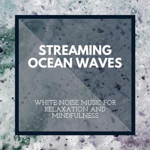 Streaming Ocean Waves - White Noise Music for Relaxation and Mindfulness - Incredible Oceans
