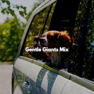 Gentle Giants Mix - Puppy Sleeping Sounds