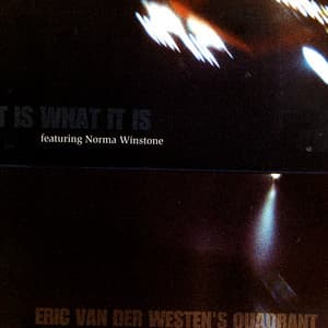 It Is What It Is - Eric van der Westen