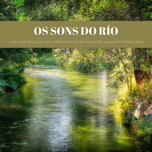 Os Sons Do Río: A Melhor Seleção De Correntes Do Rio Para Relaxamento Profundo - Música de Relaxamento No Spa
