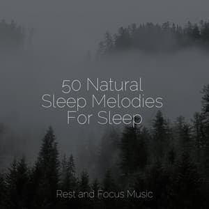 50 Natural Sleep Melodies For Sleep - Deep Focus