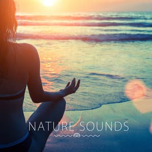 Nature Sounds - Binaural Beats Para Dormir Profundamente