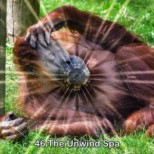 46 The Unwind Spa - Relaxing Music For Sleeping