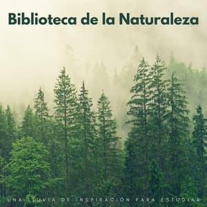 Biblioteca De La Naturaleza: Una Lluvia De Inspiración Para Estudiar - Sonidos de Lluvia 24H