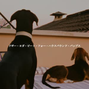 ドギー・ヨガ・ビート・フォー・ハウスバウンド・パップス - Happy Jazz