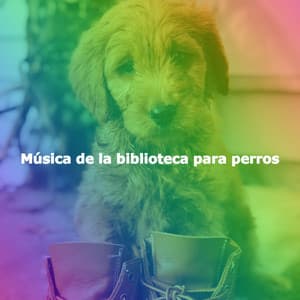 Música de la biblioteca para perros - Jazz Collections for Reading