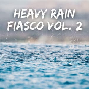 Heavy Rain Fiasco Vol. 2 - Relaxation Music Therapy