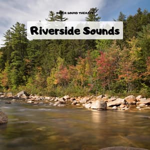 Riverside Sounds: Fostering Focus with River Soundscapes - River Sound Therapy