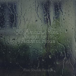 50 Ambient Rain Sounds for a Peaceful Relax - Reiki Music