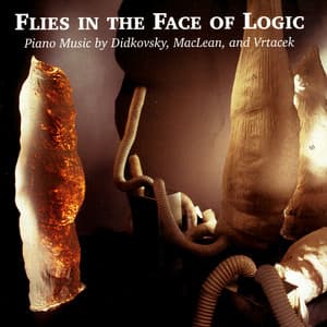 Flies In The Face of Logic - Steve MacLean