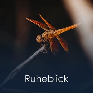 Ruheblick - Guten Schlafen Akademie