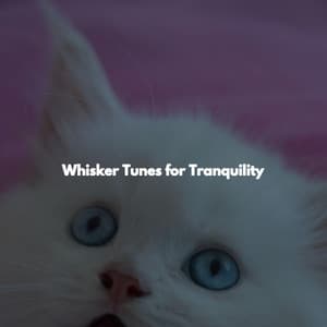 Whisker Tunes for Tranquility - Chilled Jazz Party