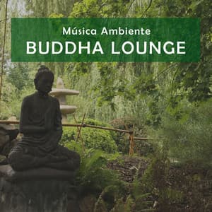 Música Ambiente: Buddha Lounge - Oasis Relaxamento
