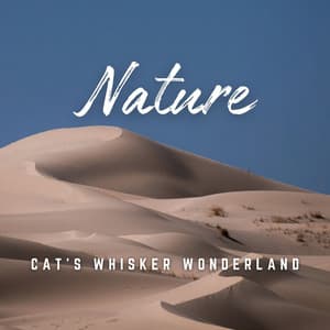 Cat's Whisker Wonderland: Soothing Melodies - Relax My Cat