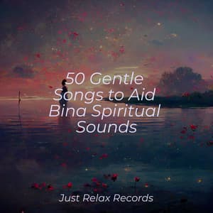 50 Gentle Songs to Aid Bina Spiritual Sounds - kinderliedjes