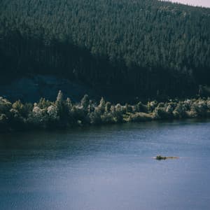 Insomnia Help Noise - Relaxing Sounds of Nature White Noise Waheguru