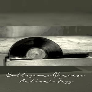 Collezione Vintage Ambient Jazz: Perfetta per rilassarsi, Tempo per te, Giornata con sorriso - Rilassante accademia di musica jazz