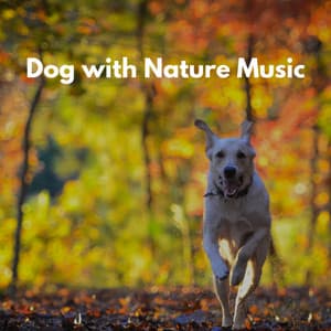 Dog with Nature Music - Rilassante Jazz Musica
