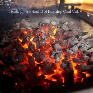 Healing Fire Sound of Burning Coal Vol. 1 - Weather and Nature Recordings