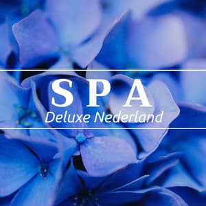 Spa Deluxe Nederland: Kom uit de dagelijkse routine en neem een moment voor jezelf - Positief Denken