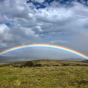 50 Rainy Nights: Healing Music for Calm - Meditation Rain Sounds